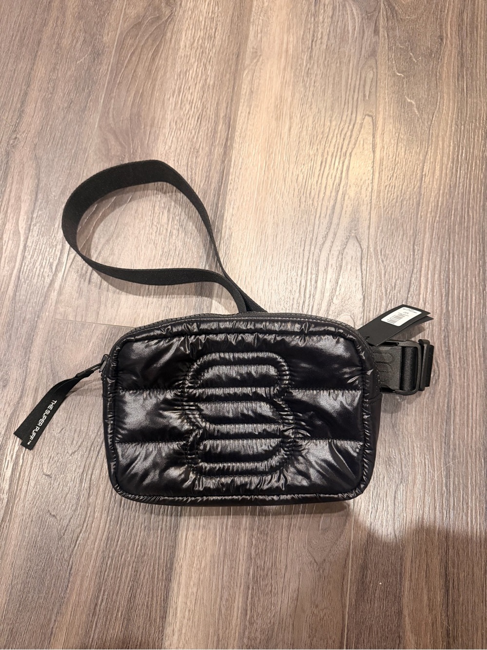 Aritzia Super Puff Bag